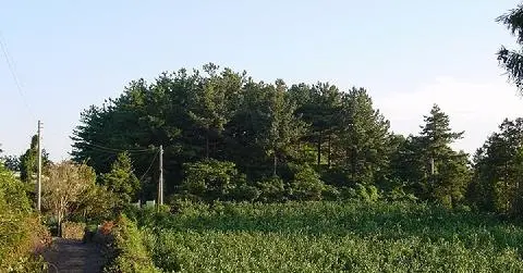 마오름(한경) 대표이미지