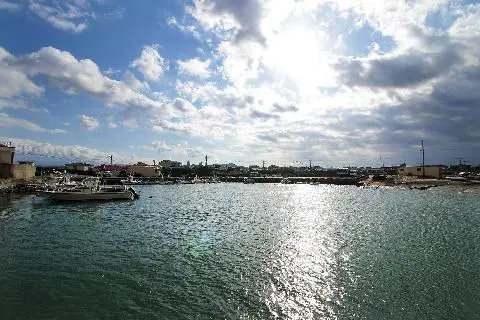 금능포구 대표이미지