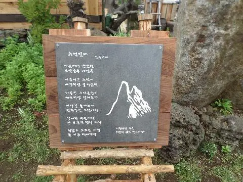 나미송 머무는 곳