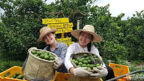 胎盤的大地濟州 대표이미지