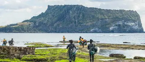 済州オルレ2コース 대표이미지