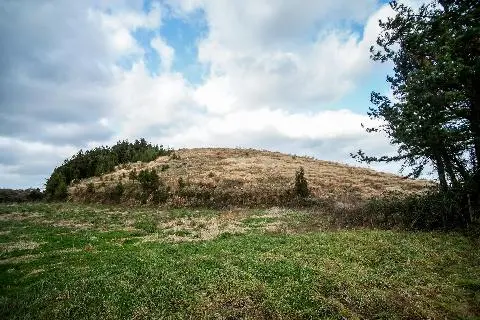 뒤굽은이오름 대표이미지