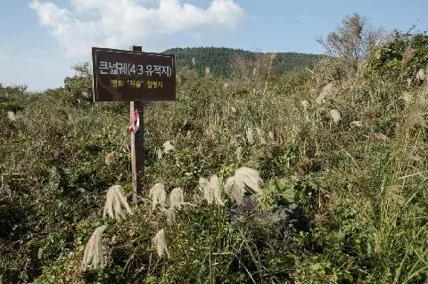큰넓궤 사진