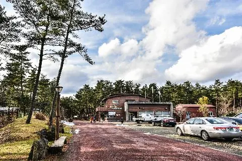 Bulgeun Oreum Natural Recreation Forest 