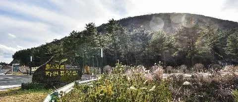 Bulgeun Oreum Natural Recreation Forest 