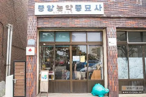 Summer Mungusa 대표이미지