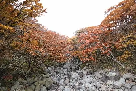 윗세오름(웃세오름)