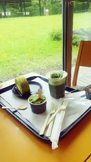 오설록티뮤지엄