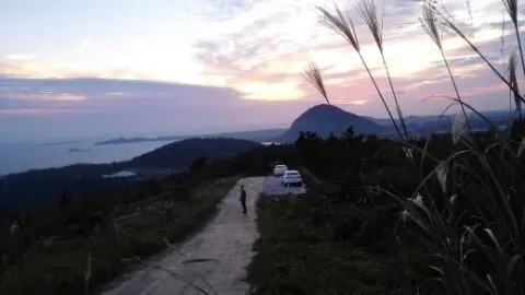 군산(군산오름,코메오름) 리뷰사진3