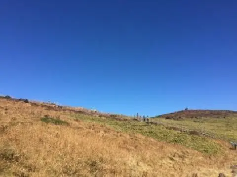 한라산영실코스