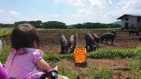 청초밭영농조합법인