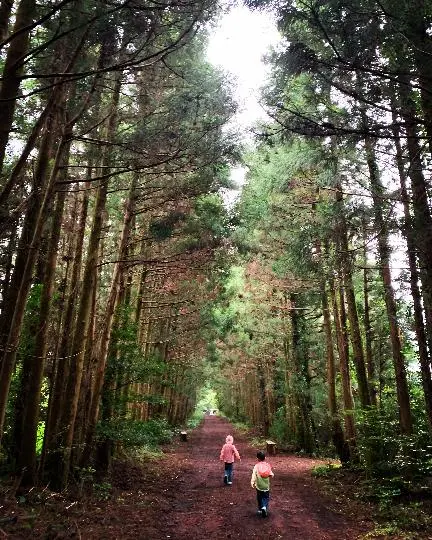 청초밭영농조합법인