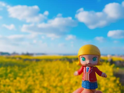 제3회 제주오라 청보리 & 유채꽃 축제 리뷰사진1