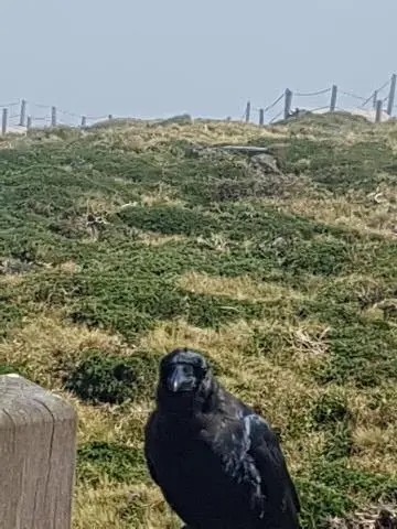 백록담 리뷰사진5