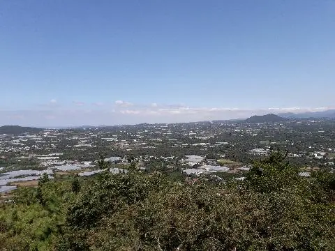 저지오름(닥몰오름,새오름)