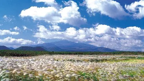 Top 10 Sites in Jeju for October <The Cozy Place that Always Welcome Us, Comfortable October in Jeju> 대표이미지