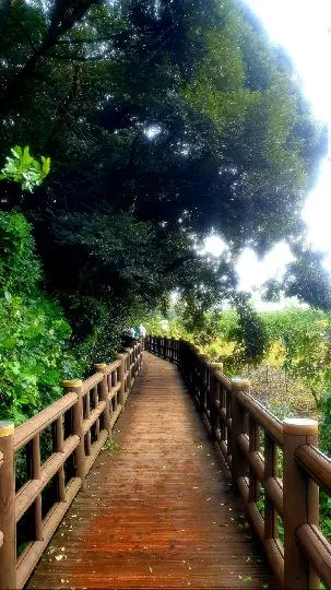 엉또폭포 리뷰사진3