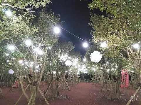 에코랜드 테마파크