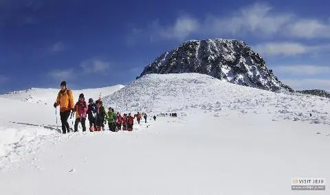 Hiking Hallasan Mountain 대표이미지