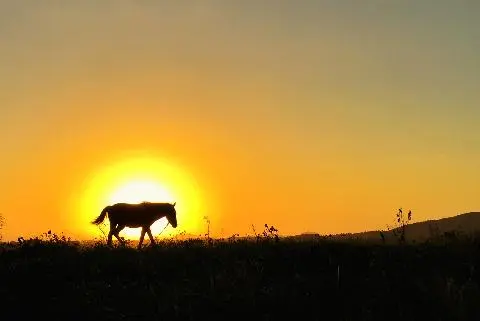 신양섭지해수욕장