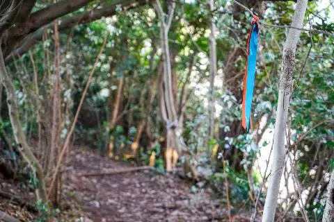 제주올레 6코스 대표이미지