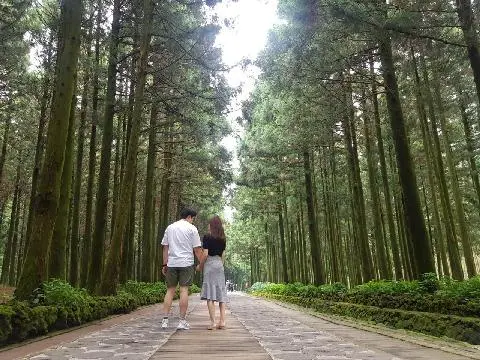 제주절물자연휴양림