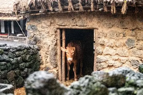 제주민속촌 리뷰사진5