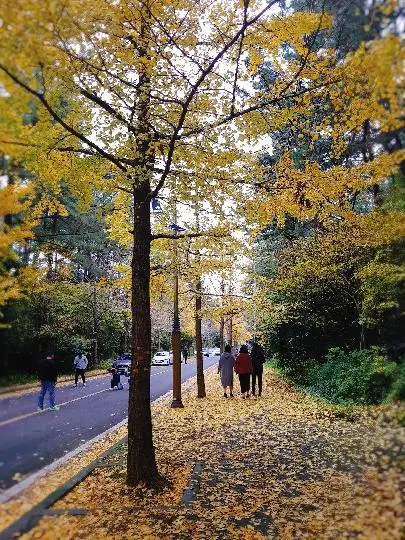제주대학교 가는길