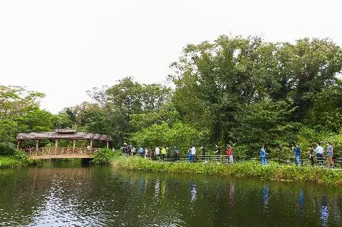 에코랜드 테마파크