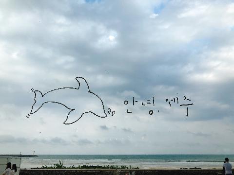 세화해변 리뷰사진4