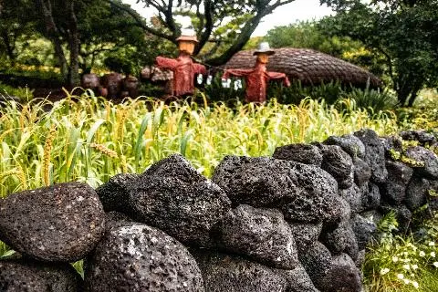 제주민속촌 리뷰사진3