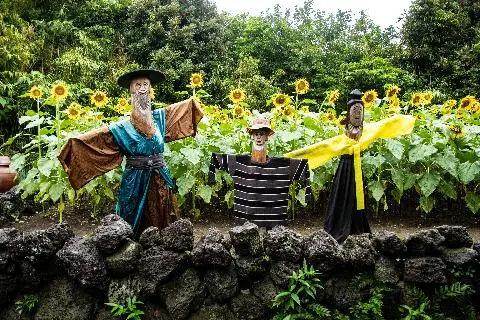 제주민속촌 리뷰사진2