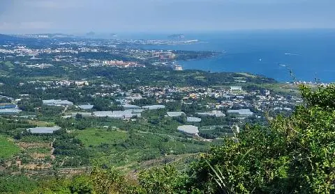 군산(군산오름,코메오름) 리뷰사진3