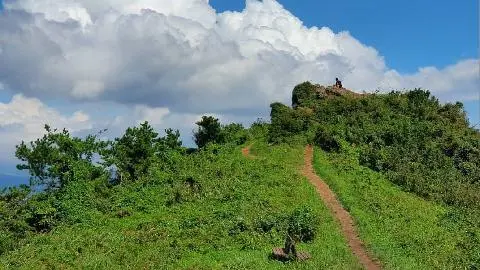 군산(군산오름,코메오름) 리뷰사진2