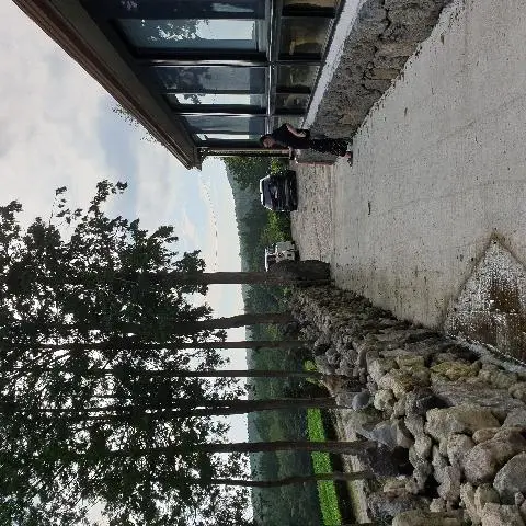 서귀다원 리뷰사진4