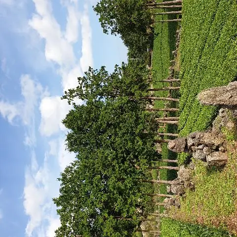 서귀다원 리뷰사진3