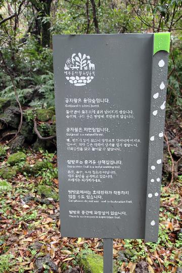 산양곶자왈 리뷰사진2