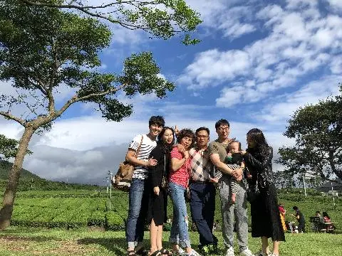 오설록티뮤지엄