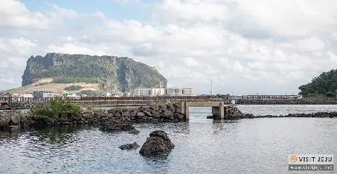 로컬투어 마을참견 10 <홍승길 삼촌이 알려주는  나를 비추는 마을, 오조리> 대표이미지