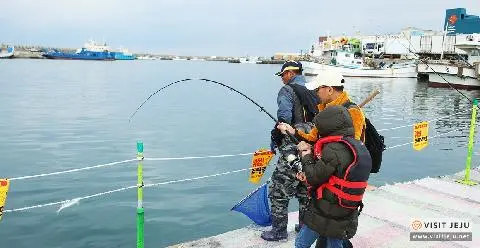 2019년 11월 놓치지 말아야 할 제주 관광 10선 <깊어진 계절 짙어진 감동,11월 제주는 코삿하다>