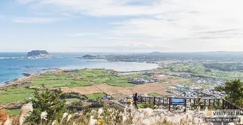 The Hawaii of Korea <Preparing to Travel to Jeju-do, South Korea> 대표이미지