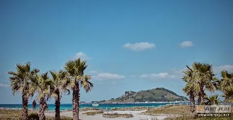 Three Day Itinerary to Tropical Jeju Island; South Korea’s Version of Hawaii <Creating your itinerary> 대표이미지