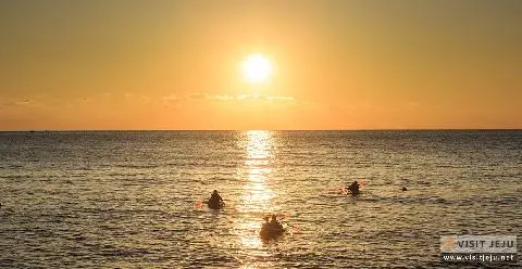 暢遊陸海空的刺激愉悅 <濟州的遊樂活動> 대표이미지