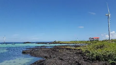 월정리해변 리뷰사진2