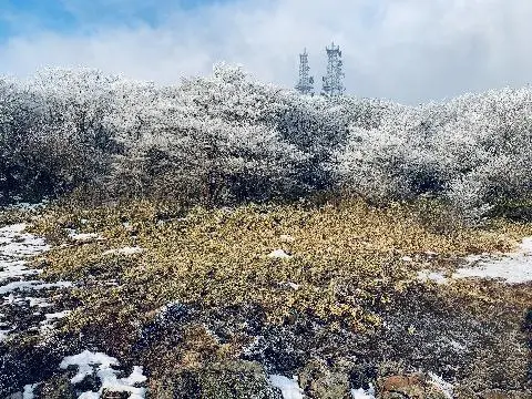 1100고지(휴게소)