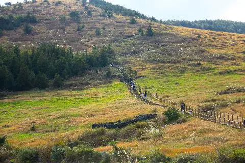 깊어가는 가을, 백약이 오름 산책.
그래요 육지는 겨울이라지만 제주는 아직 가을이었어요.