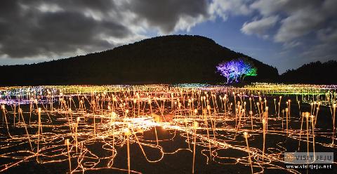 “Romantic Jeju” full of lights <Nighttime Tourist Attractions in Jeju> 대표이미지