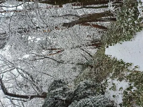 제주 한라산의 아름다운 눈꽃 영상 <12월엔 떠나요 ~ 하얀 눈꽃 설렘의 제주로! >