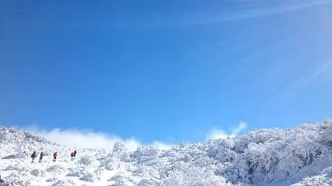 한라산영실코스