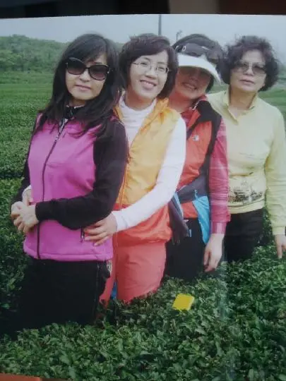 제주 녹차밭 어디까지 가봤니? <제주 숨은 녹차밭 여행>